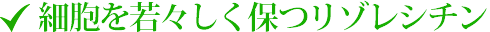 細胞を若々しく保つリゾレシチン