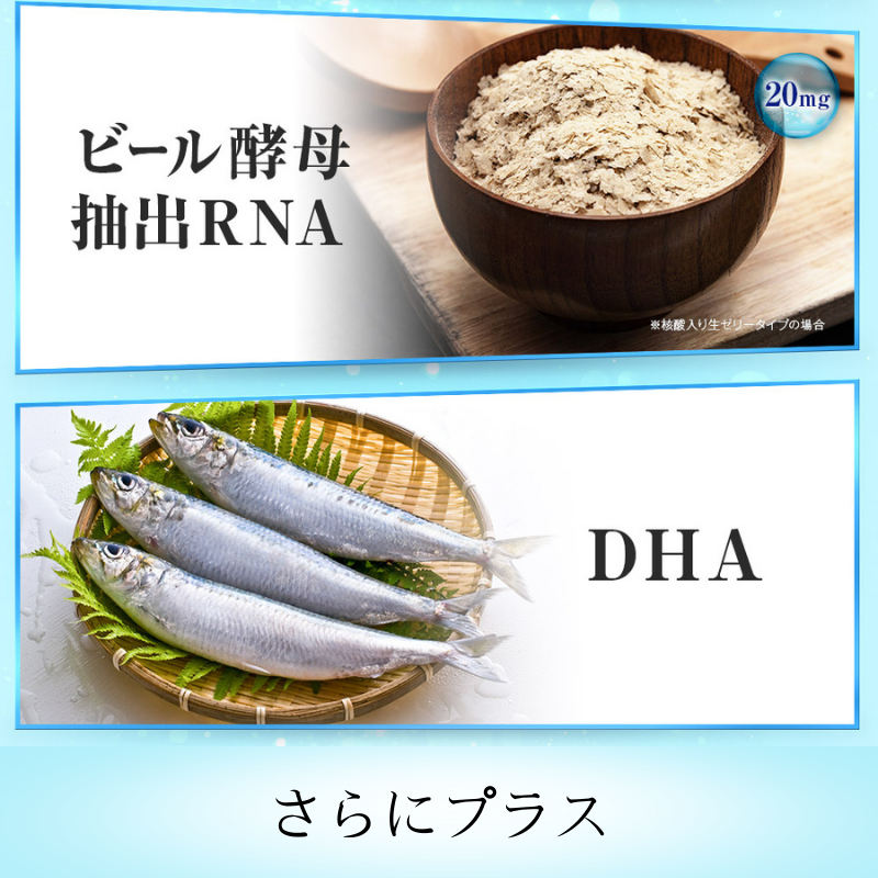 アルファベスト核酸入生ゼリー