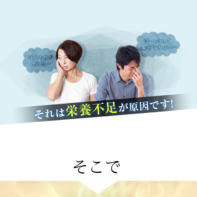 アルファベスト核酸入生ゼリー