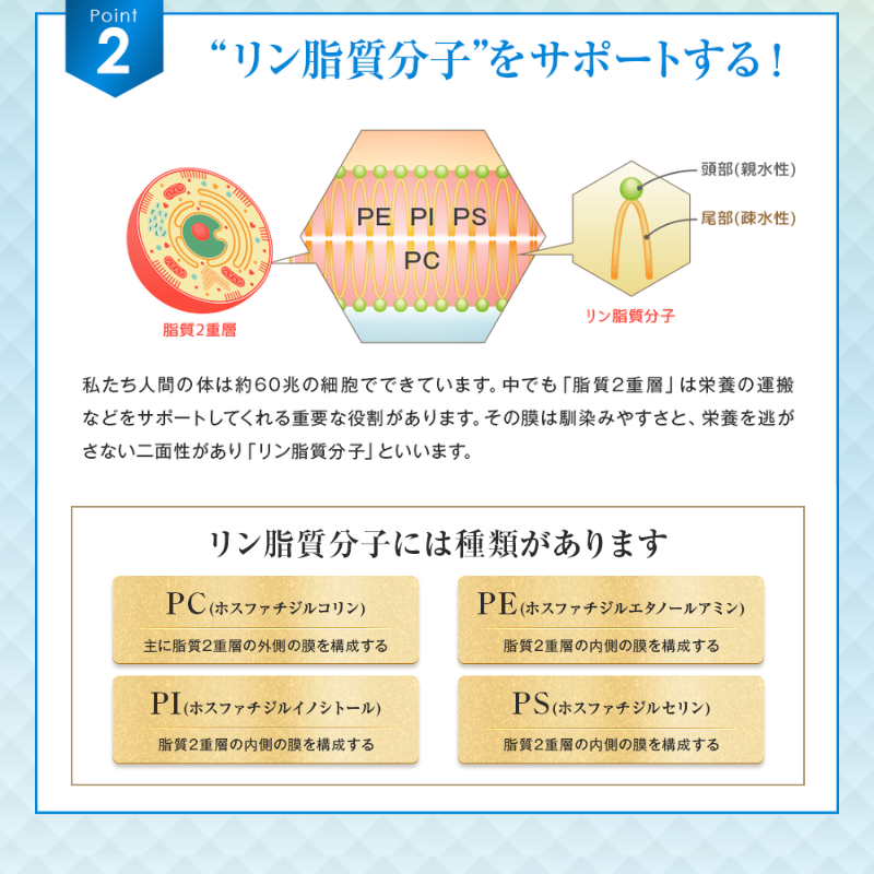 アルファベスト核酸入生ゼリー