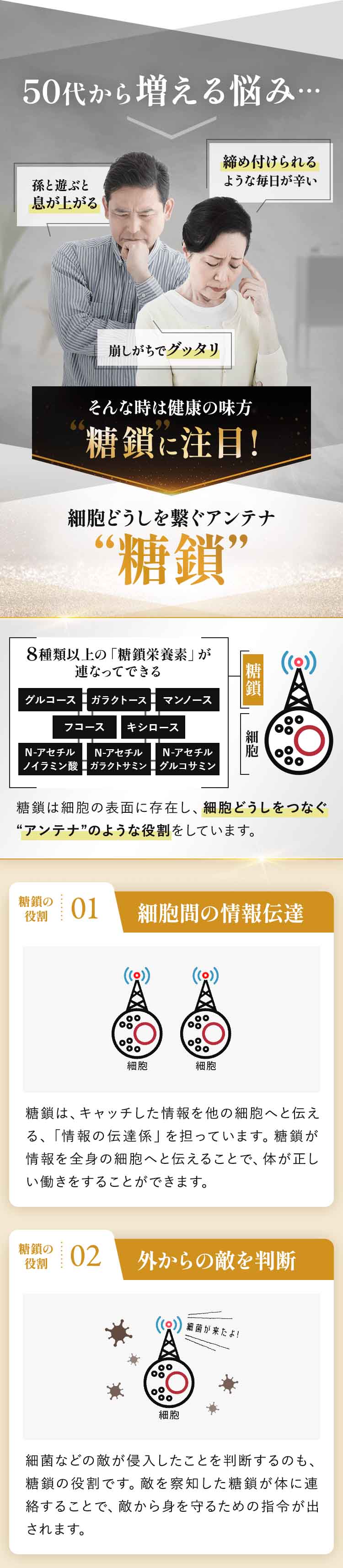 リポ糖鎖
