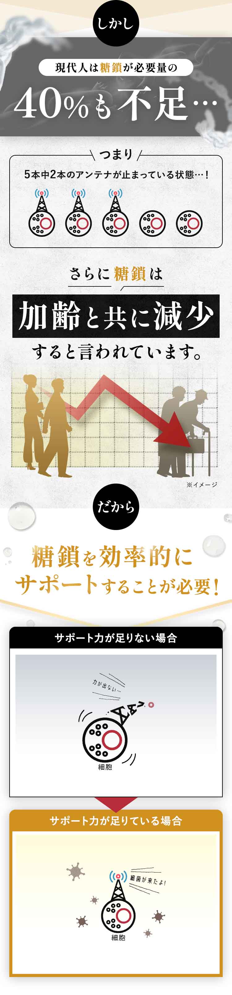 リポ糖鎖