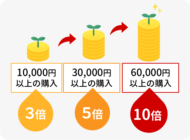 最大ポイント10倍