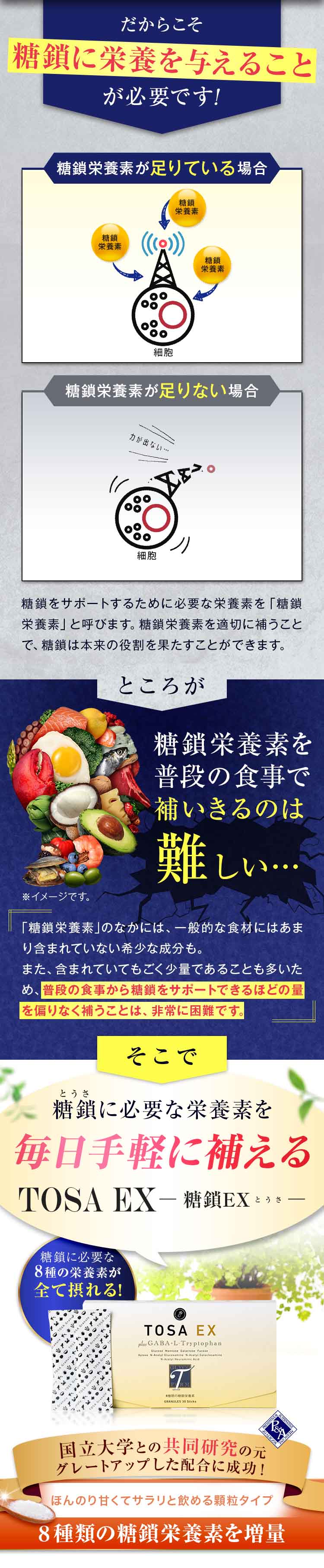 糖鎖EX