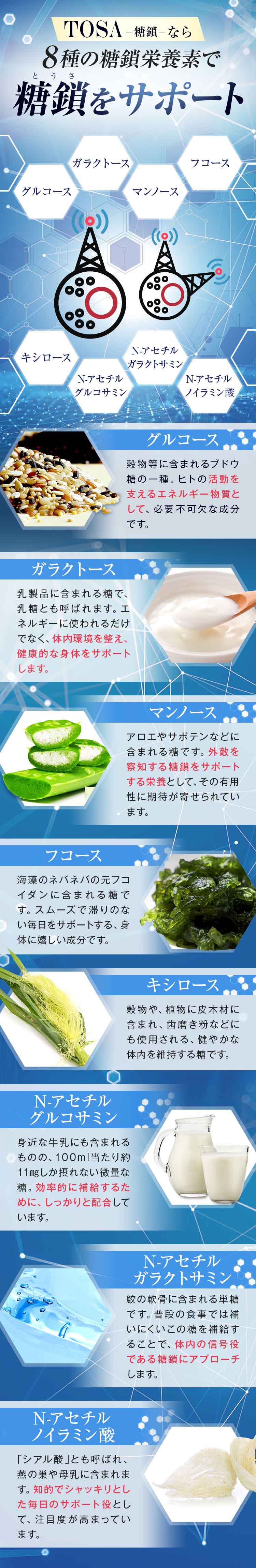 糖鎖EX