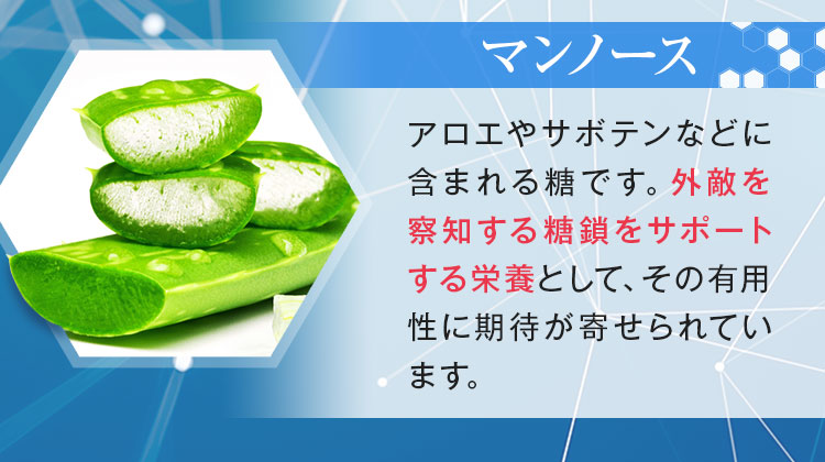 マンノース