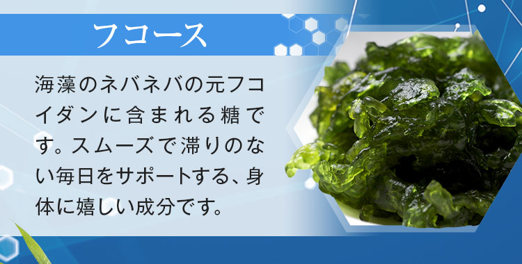 フコース