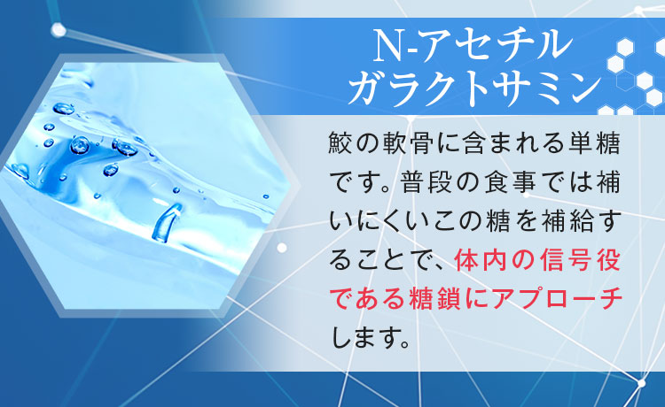 N-アセチルガラクトサミン