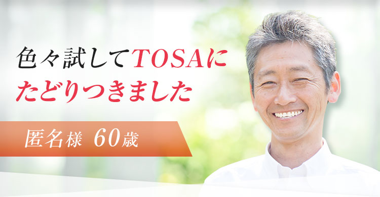 色々試してTOSAにたどりつきました